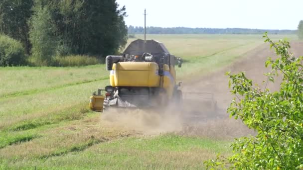 Mogilev, Bielorrusia - 28 de agosto de 2017: La cosechadora quita el grano, Vista trasera — Vídeos de Stock