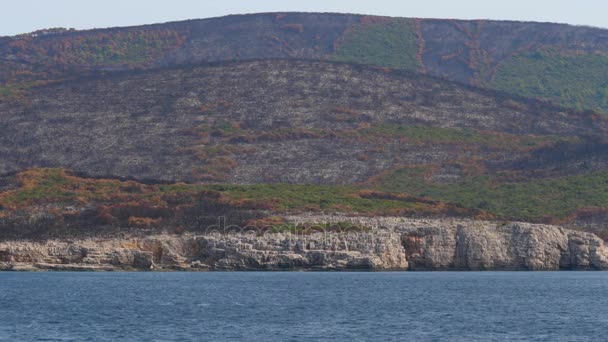 岩の海岸、緑の丘と森運動の火の後で海からの眺め — ストック動画