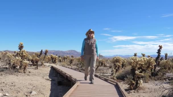 Donna matura cammina su un sentiero in legno in un giardino di cactus Cholla, rallentamento — Video Stock