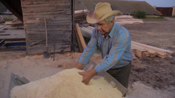 Starý farmář v kovbojském klobouku se objeví a zvedne dřevěné piliny na pile — Stock video