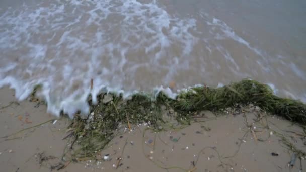 Panorámica desde abajo hacia arriba Olas de invierno en la costa del mar del Norte Nieva — Vídeo de stock