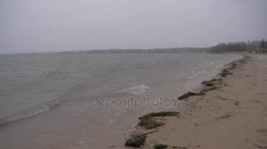 Sandy Shore kış görünümü Kuzey denizin dalgaları git kar ve güçlü Rüzgar