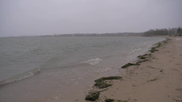 Visa på Sandy Shore vintern vågor av Nordsjön gå snö och kraftig vind — Stockvideo