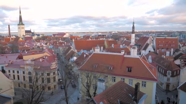 Tallinn, Estonya-Aralık 25,2017: Panorama sağdan sola tarihi kent — Stok video