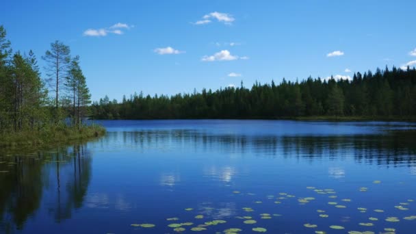 Norra natur sjön på ytan av Lily och reflekterande blå himmel och moln 4k — Stockvideo