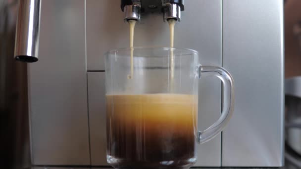 Closeup Shot From The Espresso Machine Or Coffee Maker Pours Coffee In Glass Cup — Stock Video