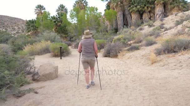 Actieve vrouw wandelen op de oase met palmbomen In de Mojave-woestijn — Stockvideo