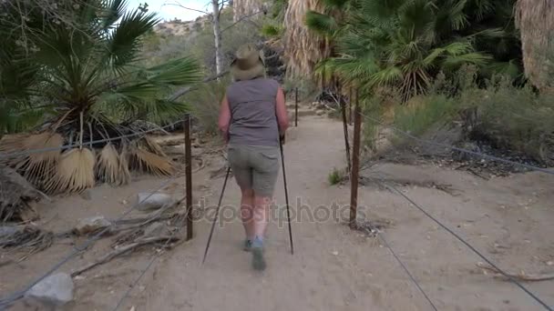 Mujer madura gorda activa que camina en el oasis con palmeras en el desierto de Mojave — Vídeo de stock