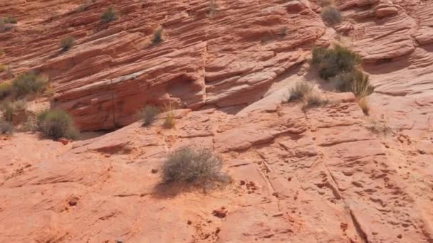 Movement On National Reserve Area Red Rock Canyon, Nevada State In Mojave Desert — Stock Video