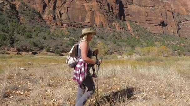 Aktiv kvinna med Trekking pinnar vandring i Zion Park i bakgrunden klipporna — Stockvideo