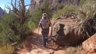 Dağlar aktif kadında Hiking turist Zion Park ağır çekimde 4 k yürür