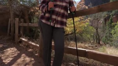 Alt öğe, dikey, kadın turist çitin arkasına adamlar ayakta Trekking Polonyalılar ile pan