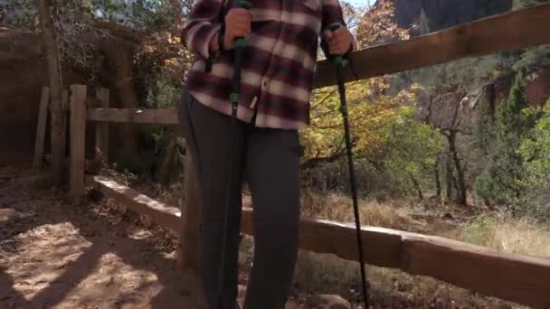 Pan Bottom-Up Porträt einer Touristin mit Trekkingstöcken, die am Zaun stehen — Stockvideo