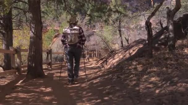 Turistika v horách aktivní žena chůze blízko plotu ve stínu stromů — Stock video