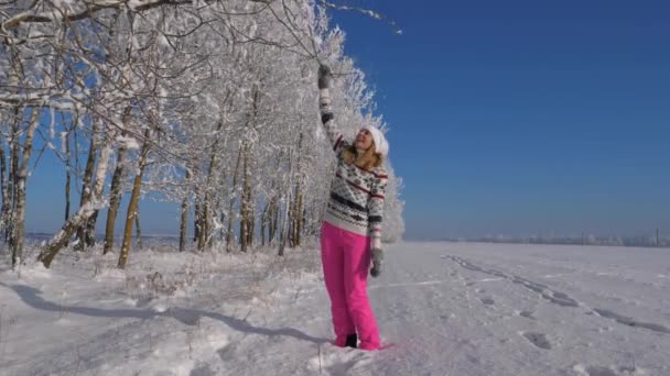 Figlarny młoda kobieta w słoneczny dzień w zimie, ściąga gałęzi drzewa i Padający śnieg. — Wideo stockowe