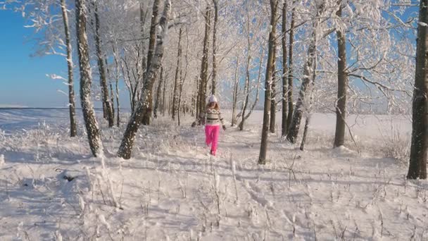 Kobieta korzystających zima śnieg w odkrytym, ona wirujące wokół w śniegu — Wideo stockowe