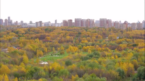 Tijd lapse In City Park waar bomen met gele herfstbladeren 4k 3840 x 2160 — Stockvideo
