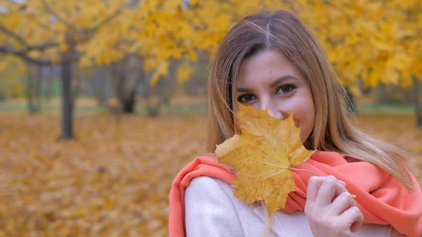 Bayan bir bej bir palto ve turuncu eşarp portresi sonbahar sarı yaprak ile çalış