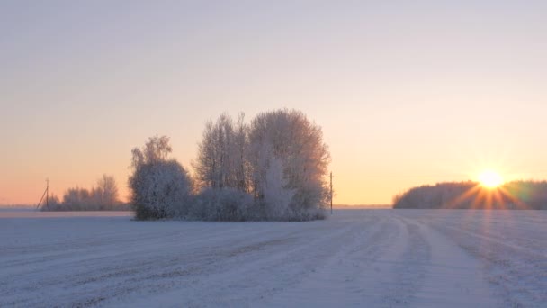 Panorama Paisaje de invierno al atardecer, nieve brilla cálida luz cámara lenta 4K — Vídeo de stock