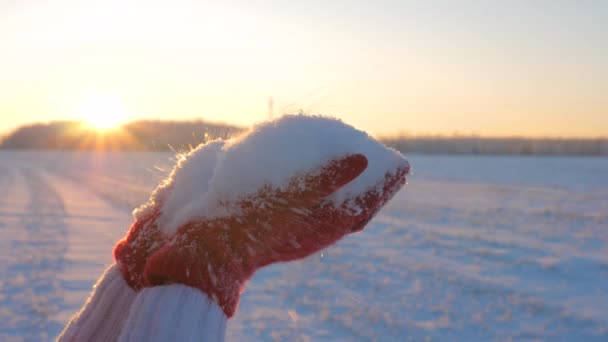 Sopla nieve, copos de nieve brillando a la luz de los rayos de ajuste 4K — Vídeo de stock