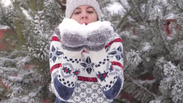 Hermosa mujer alegre divirtiéndose en invierno soplando nieve cámara lenta 180fps — Vídeos de Stock