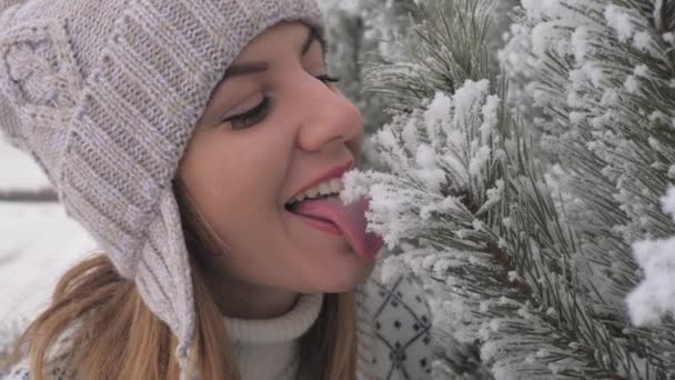 Жінка в зимовий день лизати сніг з на ялинку голки повільний рух 4 к — стокове відео