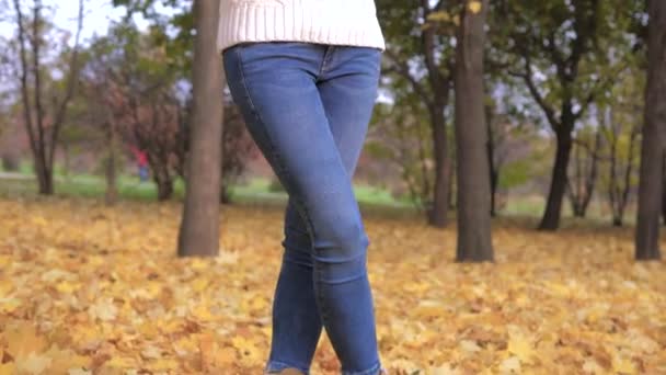 Mulher bonita segurando um buquê de folhas douradas caídas ao ar livre no parque de outono — Vídeo de Stock