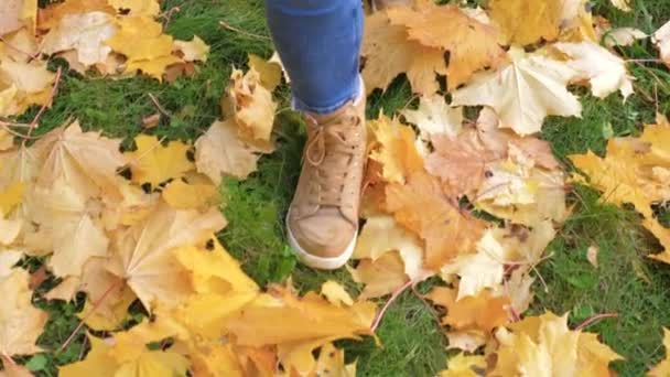 Жінка ноги в чоботи впритул йти через зелений газон з жовтим листя — стокове відео