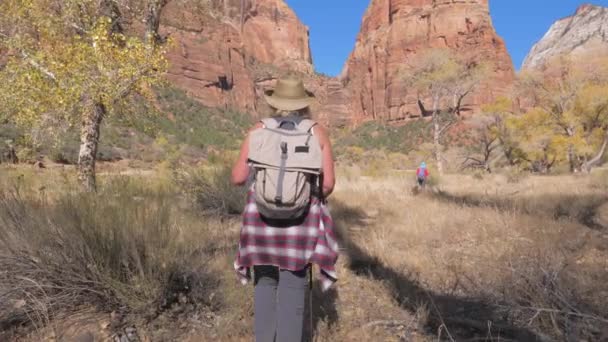 Turistické pěší turistika v červené hory aktivní žena chodí zpomaleně Zion Park 4k — Stock video