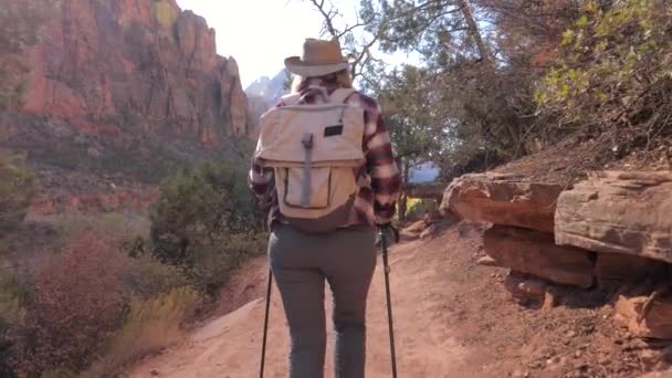 赤山アクティブな女性でハイキングがザイオン公園スローモーション 4 k で歩道を歩く — ストック動画