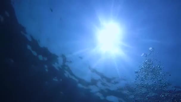 Rayons lumineux de la scène marine sous-marine brillants à travers les eaux de surface et les bulles 