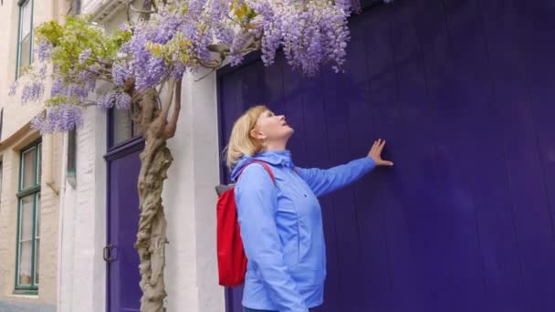 Madura mujer turista oliendo flor púrpura floreciendo en rama de árbol — Vídeo de stock