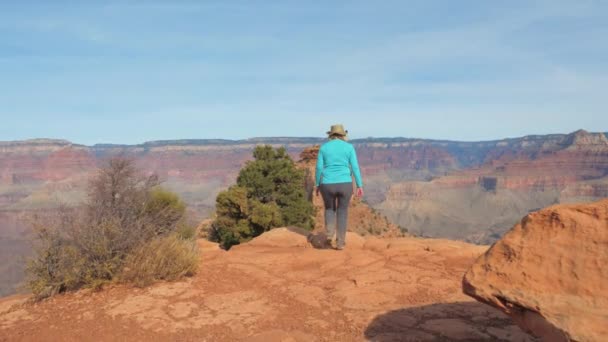 Vrouw wandelen In de Grand Canyon komt naar de waarneming Point en armen omhoog — Stockvideo