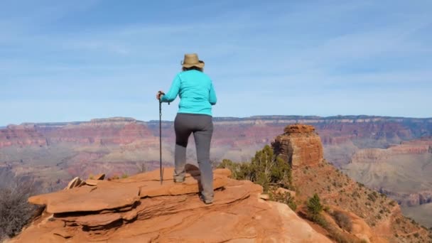 Mulher caminhando no Grand Canyon está chegando ao ponto de observação e braços para cima — Vídeo de Stock