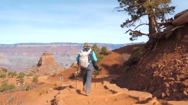 Sırt çantası Hiking Büyük Kanyon Arizona ABD Trekking patika üzerinde kadınla — Stok video