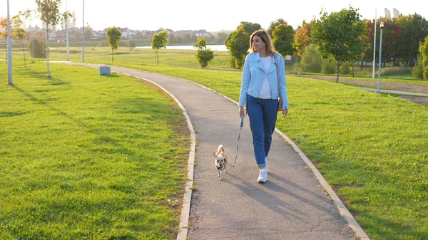 백인 여자 밖에 서 그의 작은 강아지와 함께 석양에 산책 그린 파크 로열티 프리 스톡 이미지