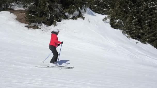 Une skieuse descend sur une piste de ski au milieu d'une forêt de pins — Video