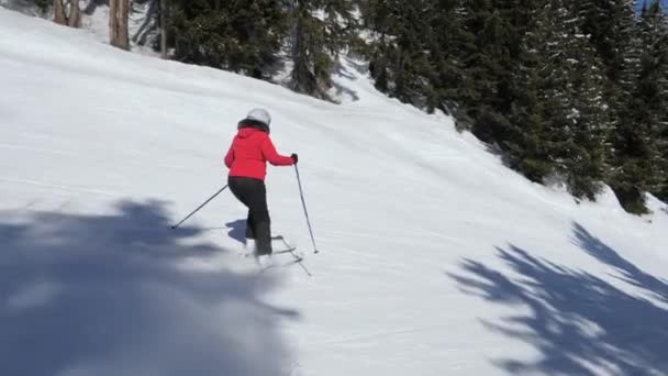 Рух видом на спині жінка лижник лижі вниз на лижному схилі серед соснового лісу — стокове відео