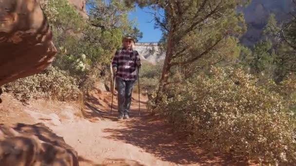 Женщина-туристка идет между красными скалами каньона и большим камнем — стоковое видео