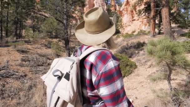 Uma mulher turística olha para as grandes rochas do Bryce Canyon e pinheiros — Vídeo de Stock