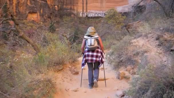 Red Rock Canyon dağlarında büyük bir dikey monolitik duvarına Hiking kadın — Stok video