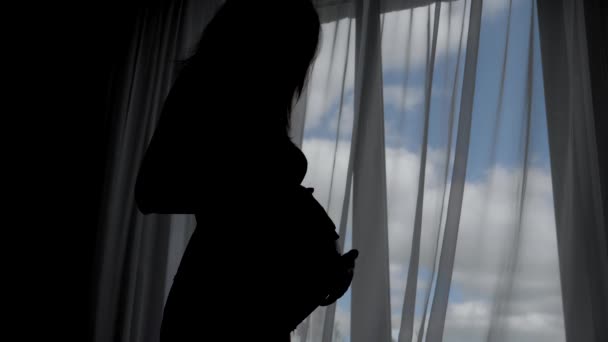 Silueta de la mujer embarazada acariciando y acariciando su barriga contra una ventana — Vídeo de stock