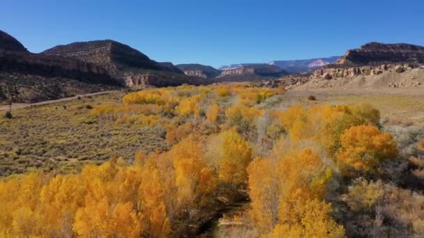 Flying Over a Riverbed Where Trees With Yellow Foliage Grow On A Sunny Fall Day — Stock video