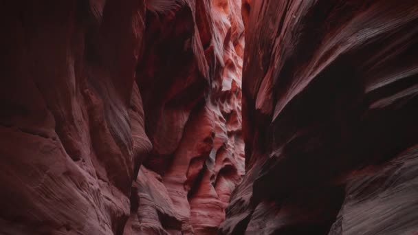 Canhão de fenda profundo de antílope com paredes de rocha ondulantes e lisas de cor vermelha — Vídeo de Stock