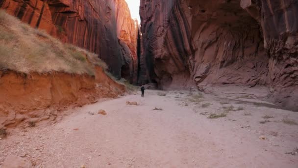 Yürüyüşçü, yüksek kırmızı taş duvarları olan derin bir kanyonun dibinde duruyor. — Stok video
