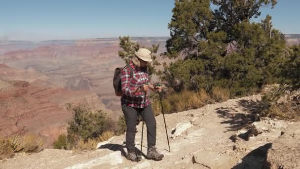 Reife Frau mit Rucksack klettert den Hügel hinauf und wandert in der Grand Canyon — Stockvideo