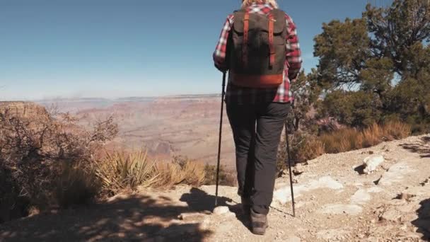 Πεζοπόρος περπατά στην άκρη του Grand Canyon Cliff και σηκώνει τα χέρια της μέχρι απολαμβάνοντας θέα — Αρχείο Βίντεο