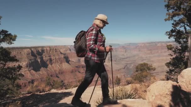 Seitenansicht einer Frau mit Rucksack, die auf den Felsen des Grand Canyon Parks wandert — Stockvideo