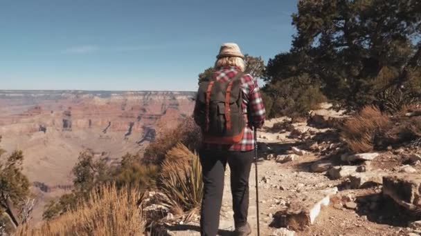 Back View Žena s batohem pěší turistika v cestě Grand Canyon Park — Stock video