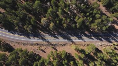 Araçlar Serpentine Otoyolu 'nda Dağ Geçidi üzerindeki Çam Ormanı' ndan geçiyor